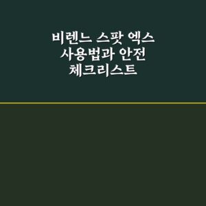 비렌느 스팟 엑스 사용법과 안전 체크리스트