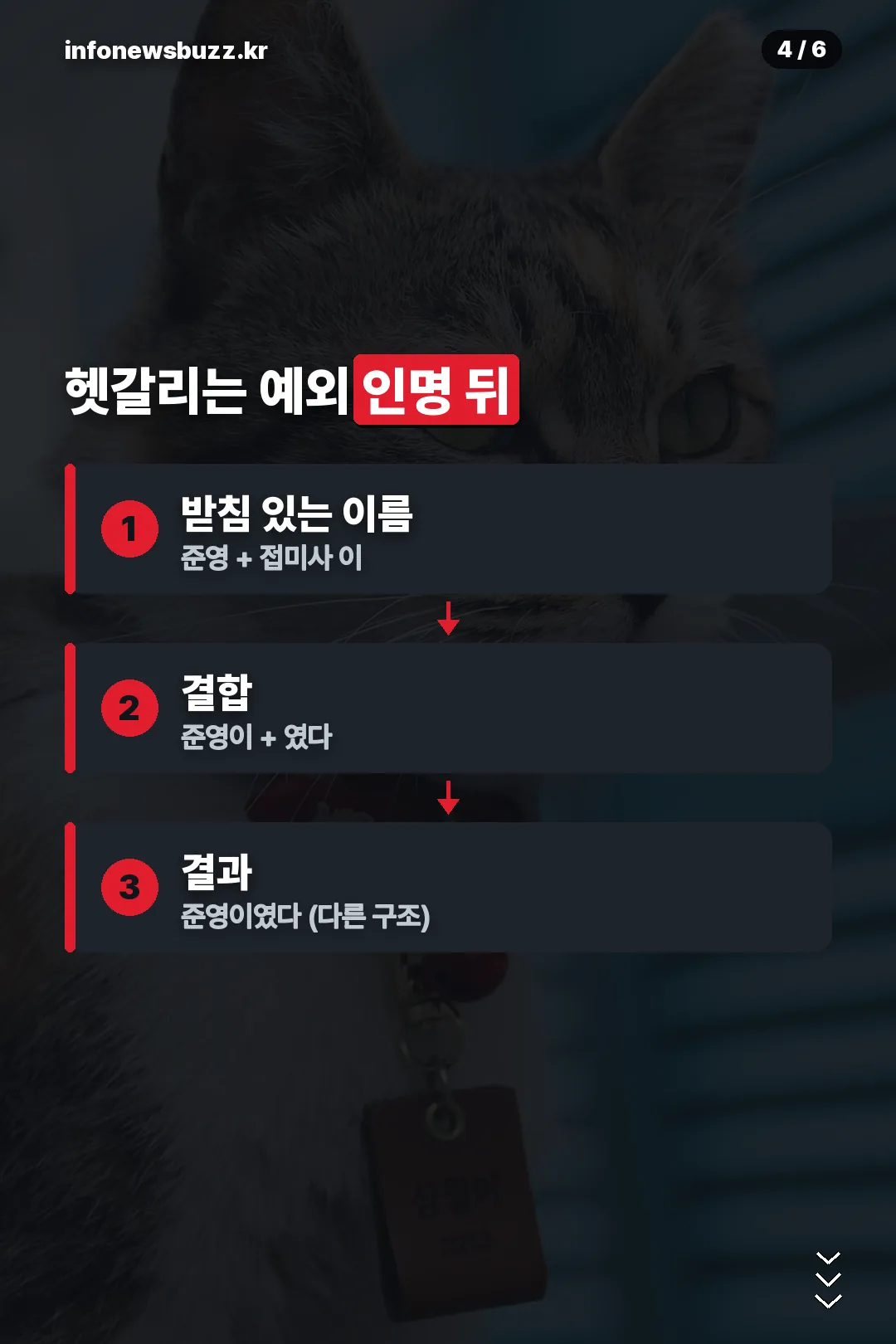 인명 뒤 예외 설명