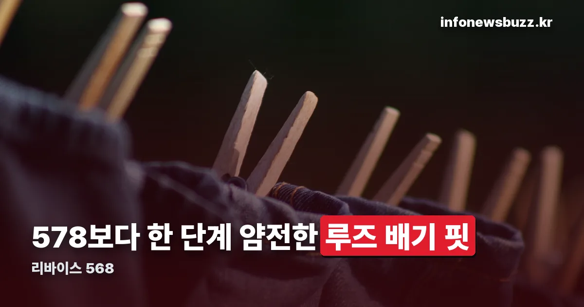 리바이스 568 정리 썸네일
