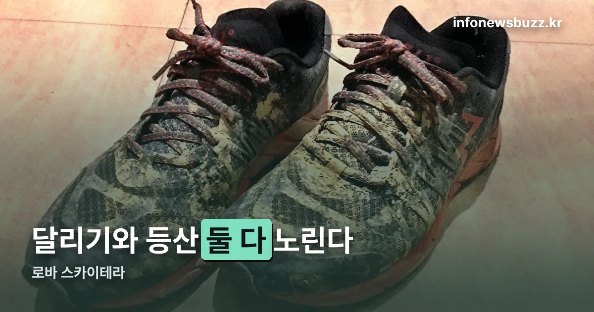 로바 스카이테라 정리 썸네일