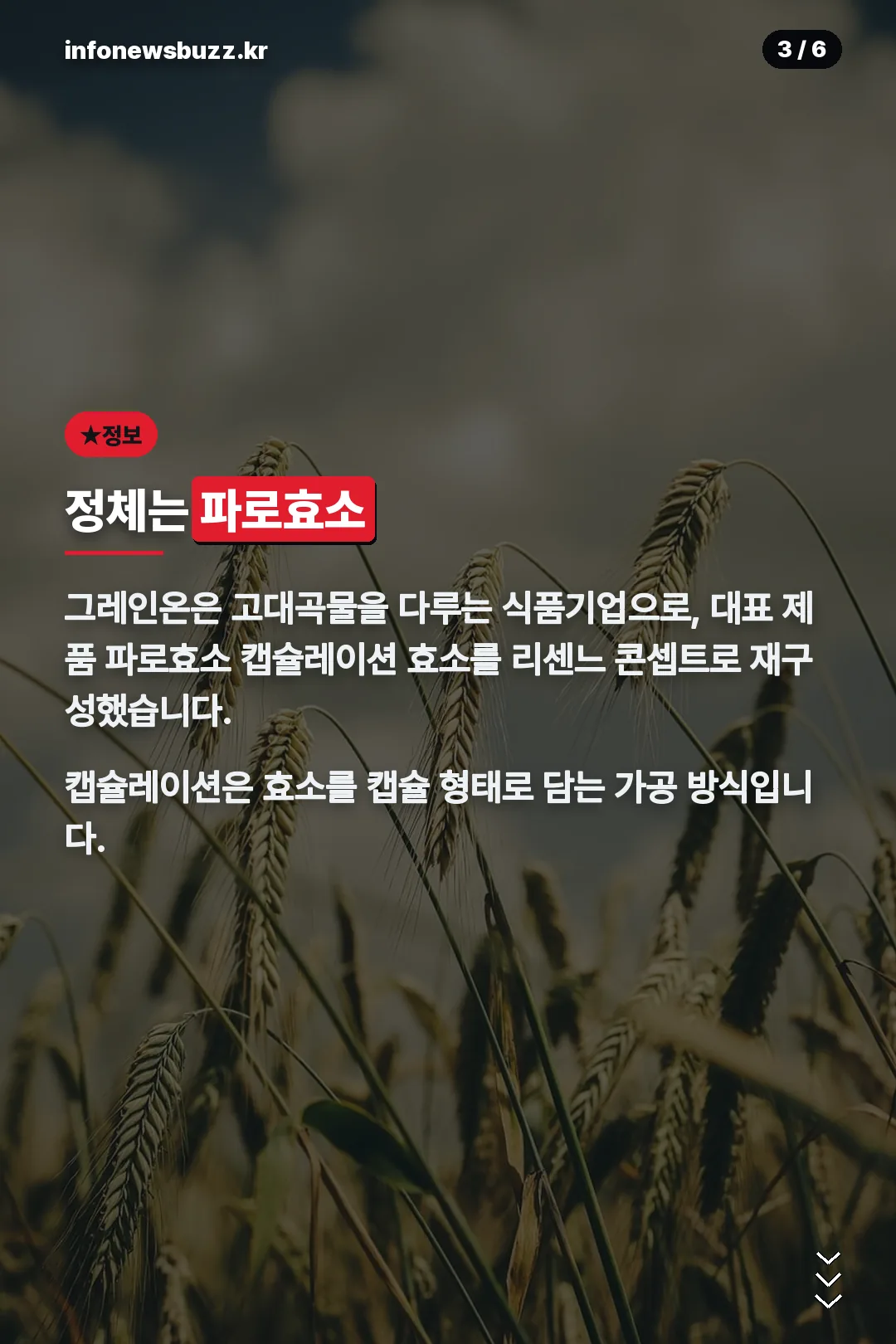 파로효소 캡슐레이션이란