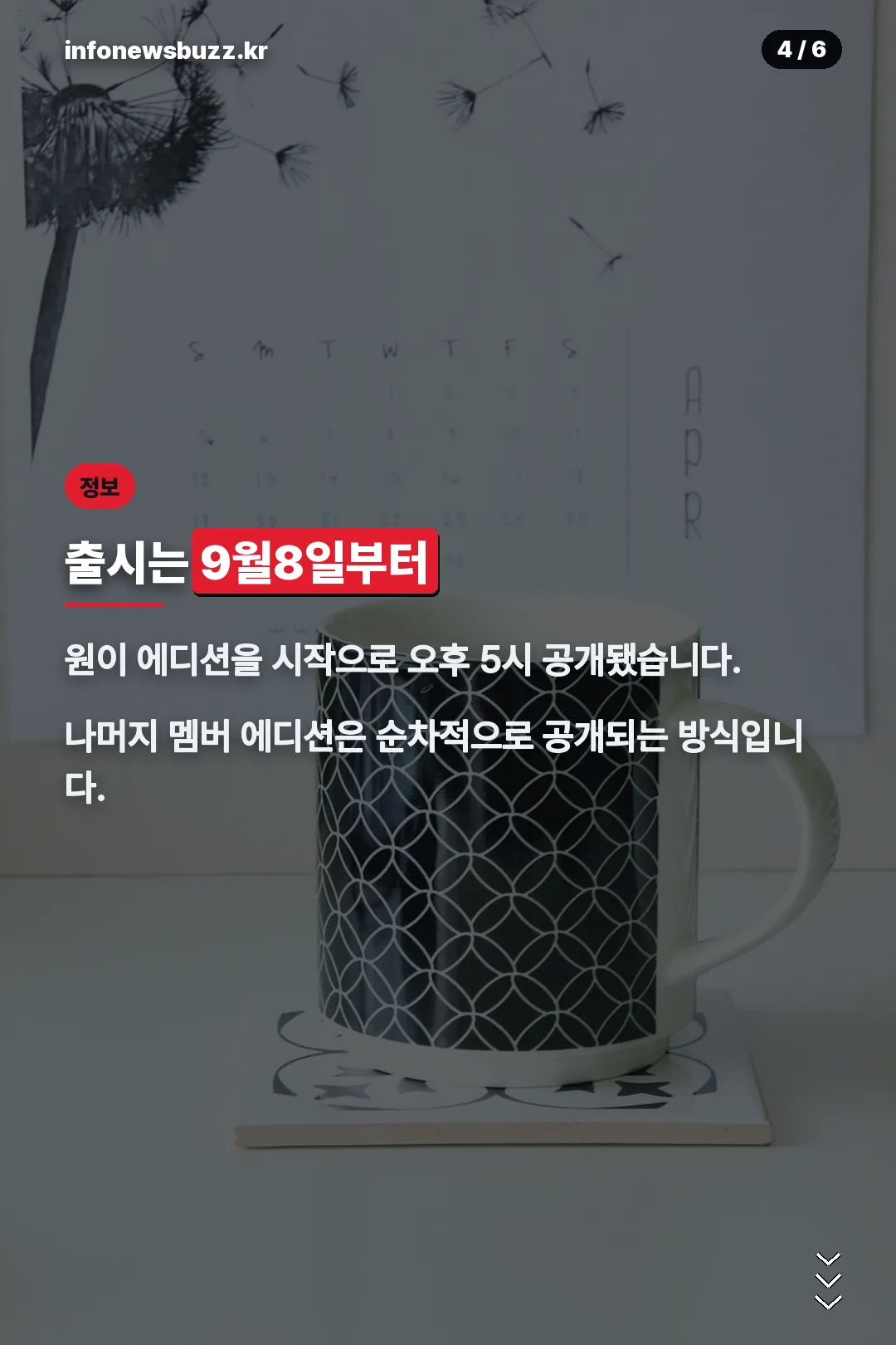9월8일 순차 출시