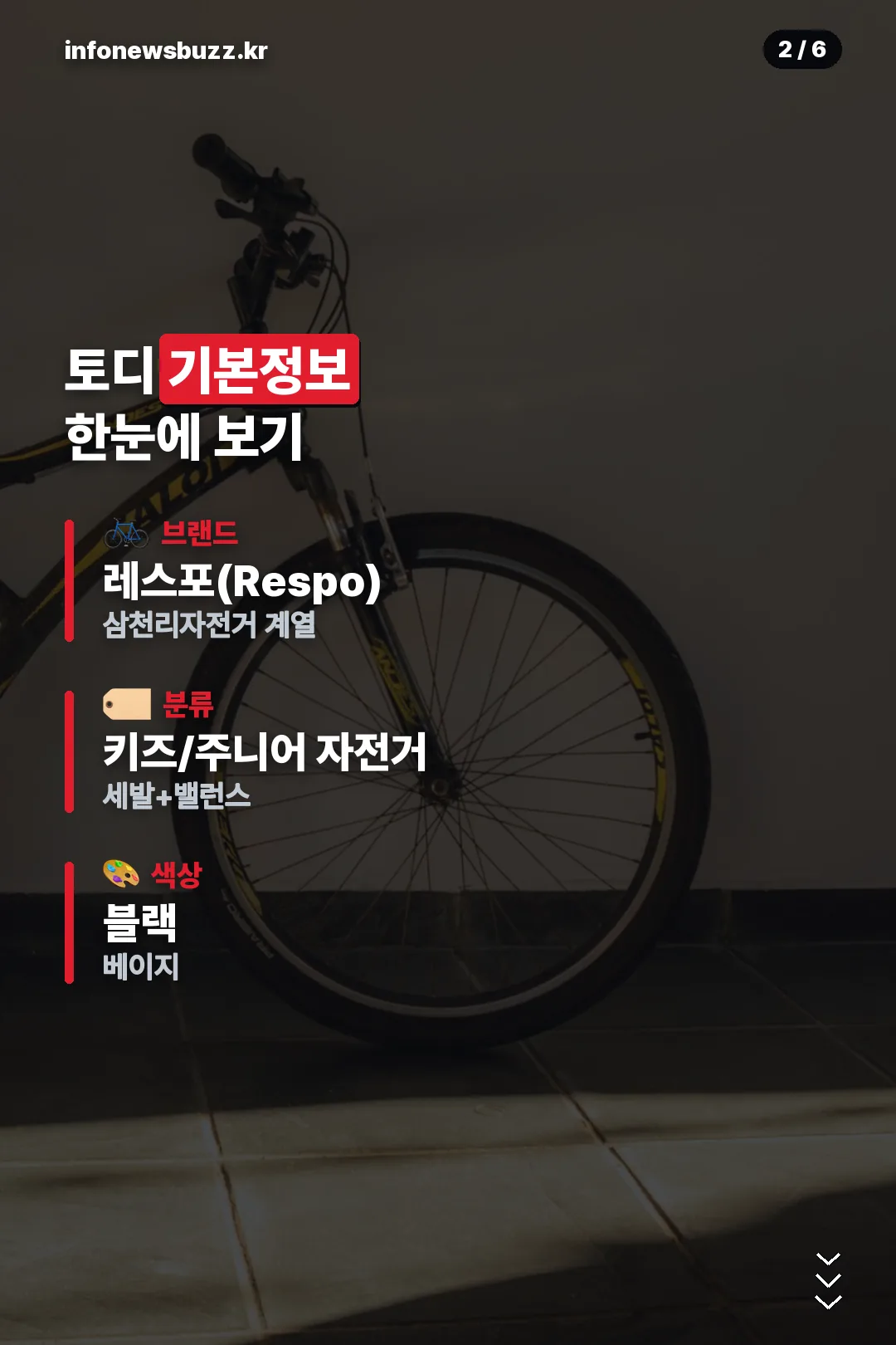 기본 정보