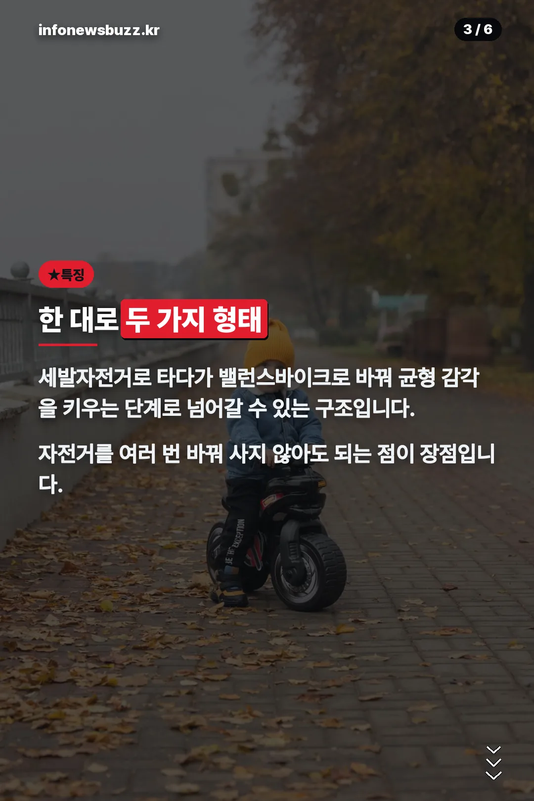 다기능 특징