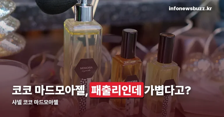 샤넬 코코 마드모아젤 정리 썸네일