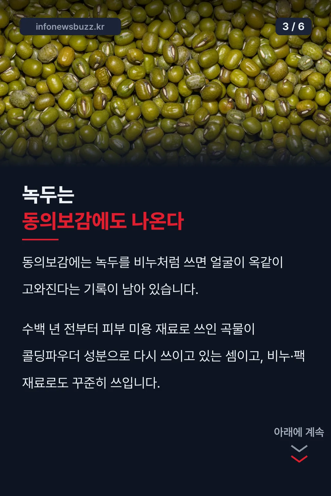 녹두의 동의보감 기록