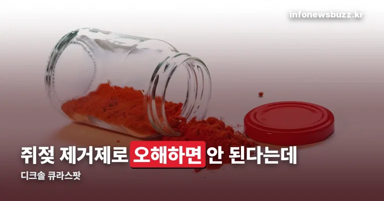 디크솔 큐라스팟 정리 썸네일