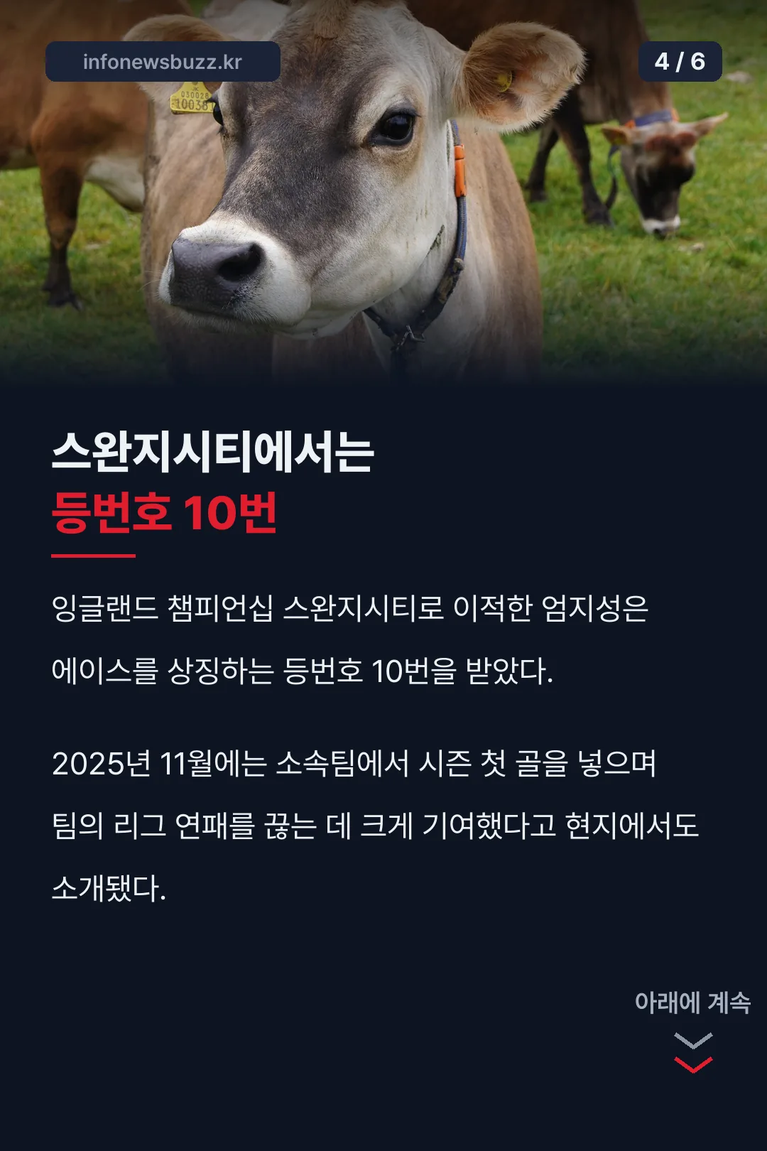 스완지시티 등번호 10번