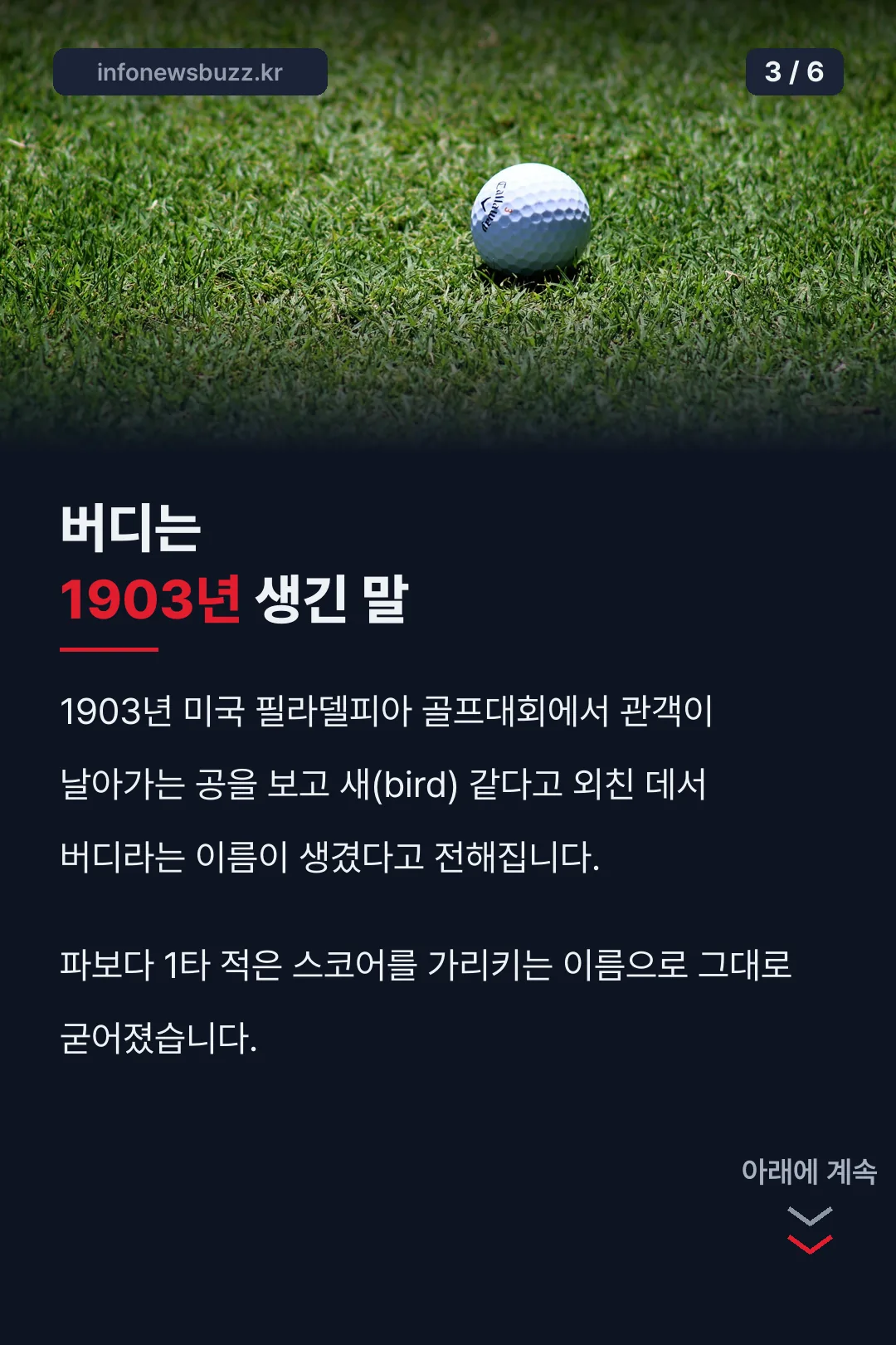 버디 이름의 1903년 유래