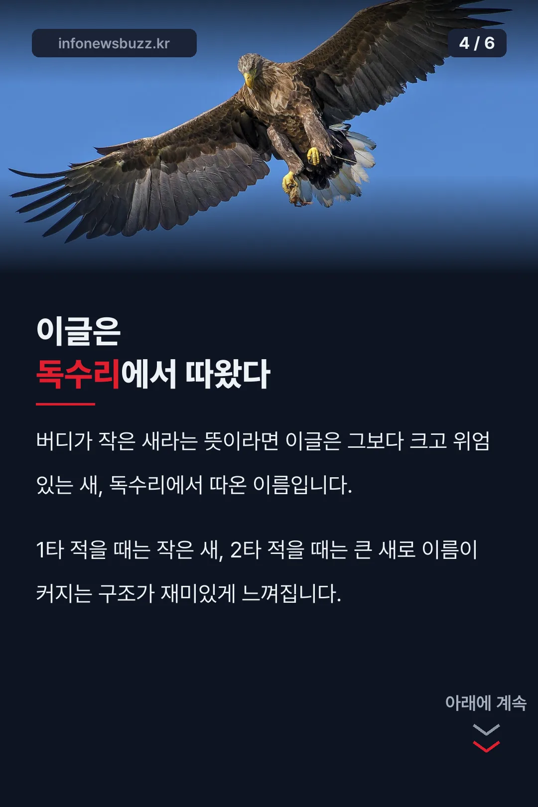 이글이 독수리에서 온 이유