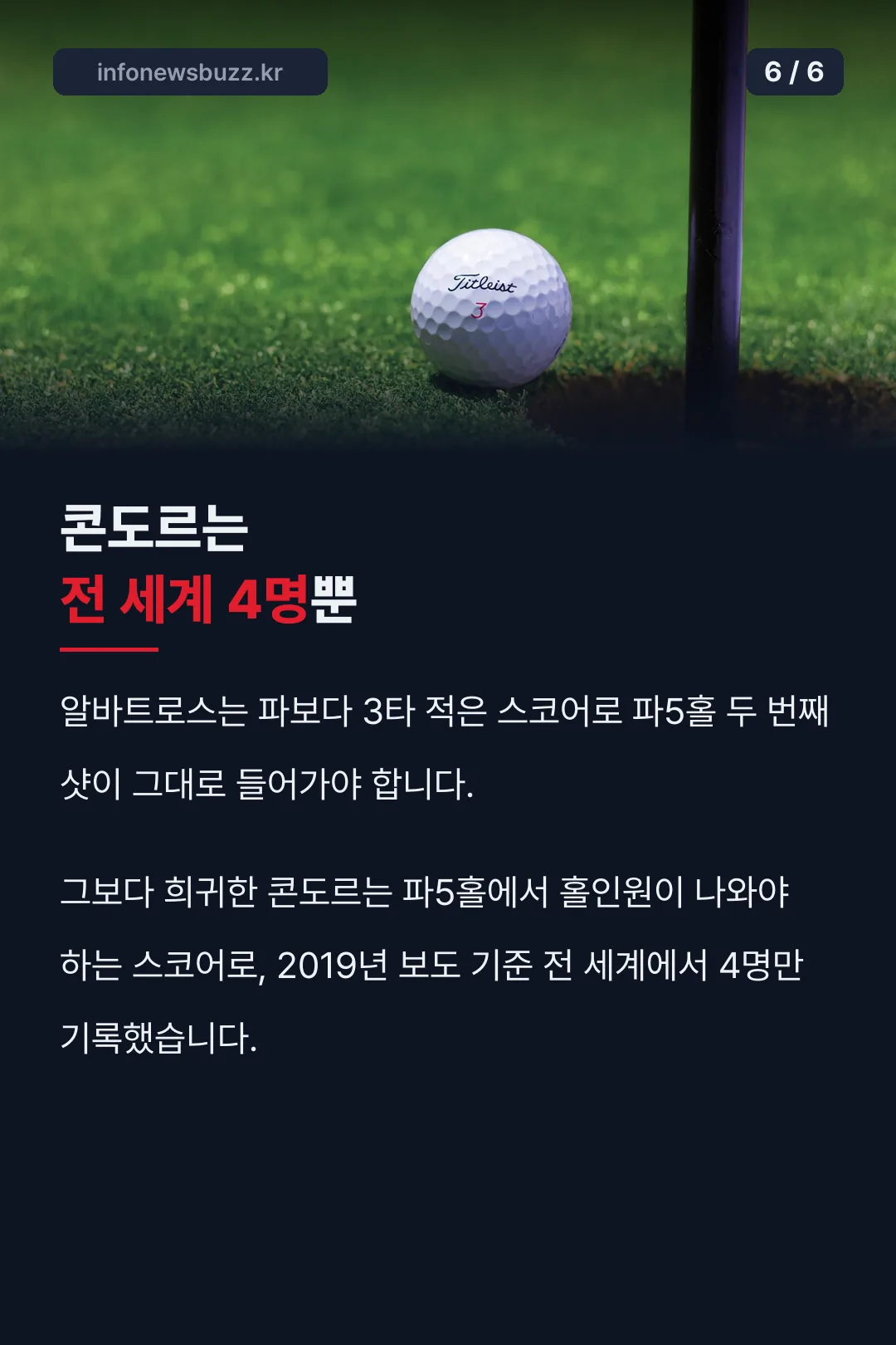 콘도르 기록 소개