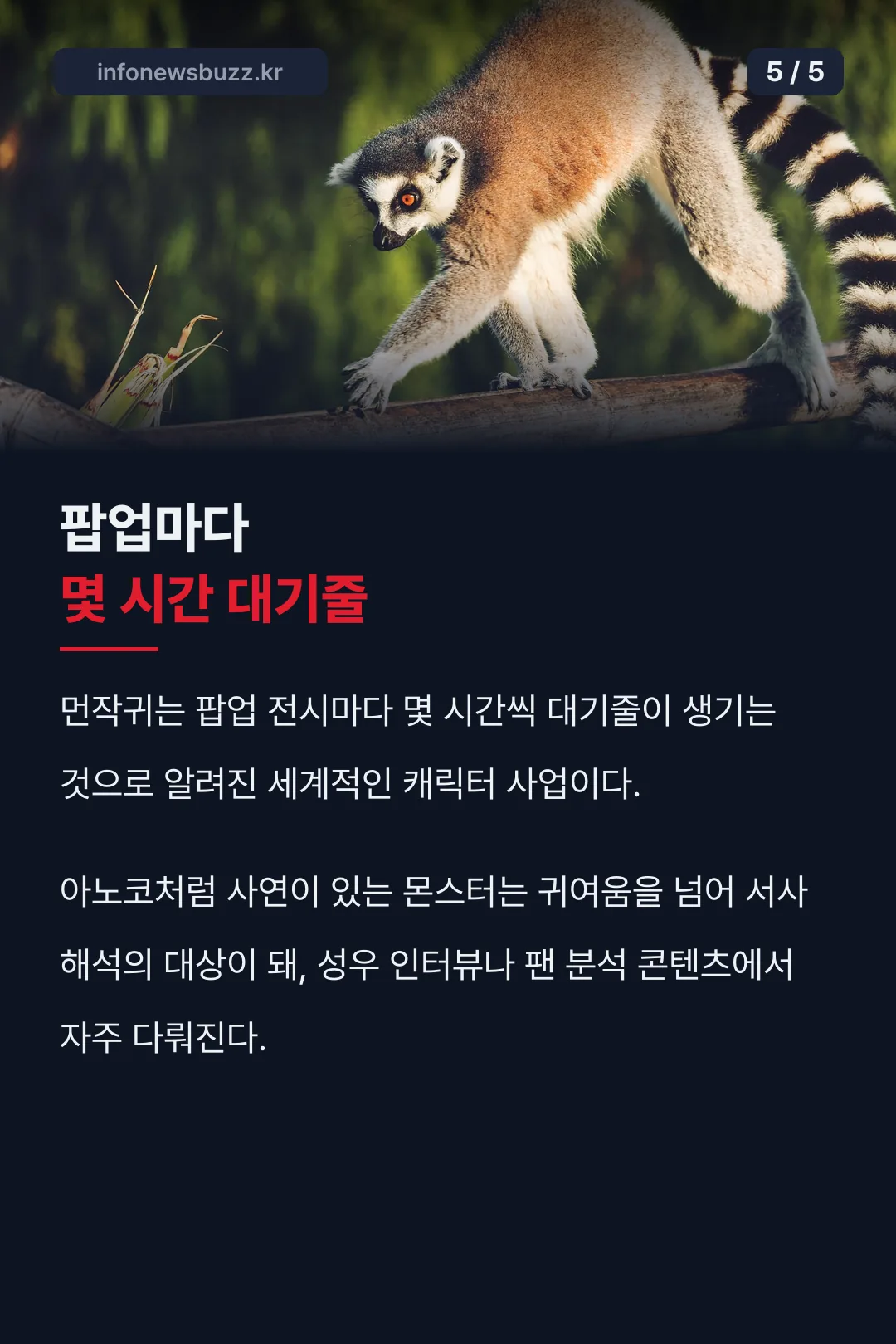 먼작귀의 인기와 팝업