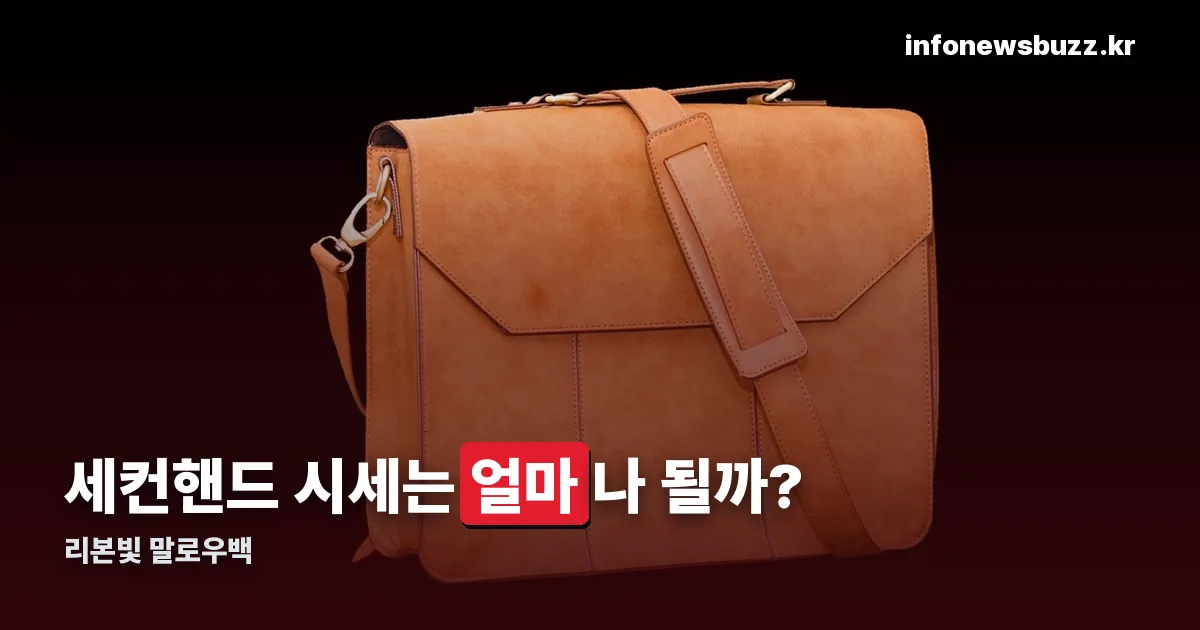 리본빛 말로우백 정리 썸네일